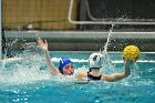 WWPolo vs CC  Wheaton College Women’s Water Polo compete in their sports inaugural match vs Connecticut College. - Photo By: KEITH NORDSTROM : Wheaton, water polo, inaugural